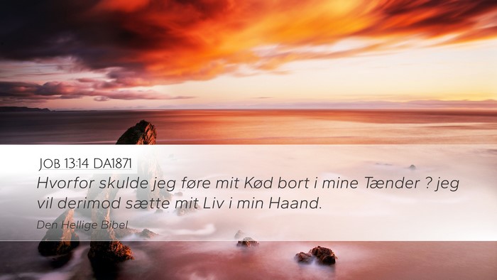 Job 13:14 DA1871 Bible Verse Image