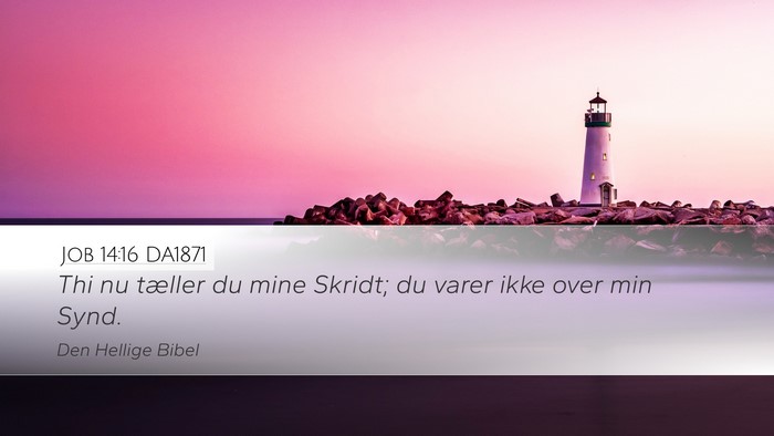 Job 14:16 DA1871 Bible Verse Image