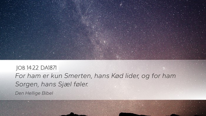 Job 14:22 DA1871 Desktop Wallpaper - For ham er kun Smerten, hans Kød lider, og for - Desktop Bible Verse Wallpaper
