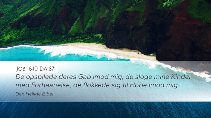 Job 16:10 DA1871 Bible Verse Image