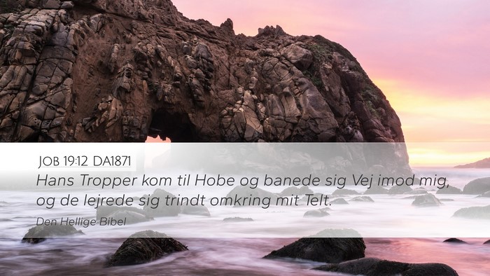Job 19:12 DA1871 Bible Verse Image