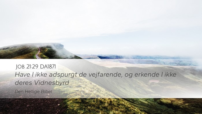 Job 21:29 DA1871 Bible Verse Image