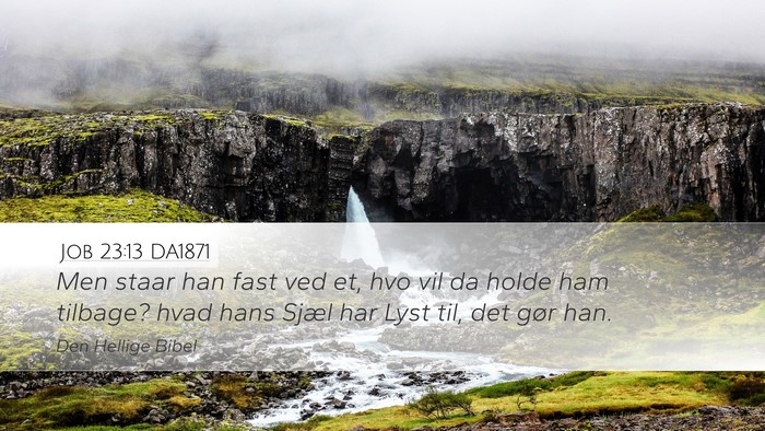 Job 23:13 DA1871 Bible Verse Image