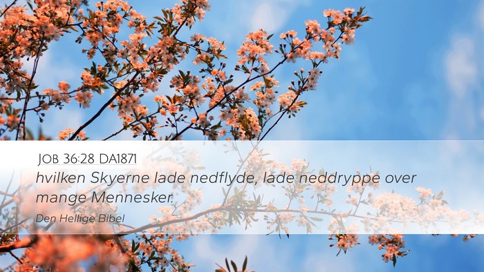 Job 36:28 DA1871 Bible Verse Image
