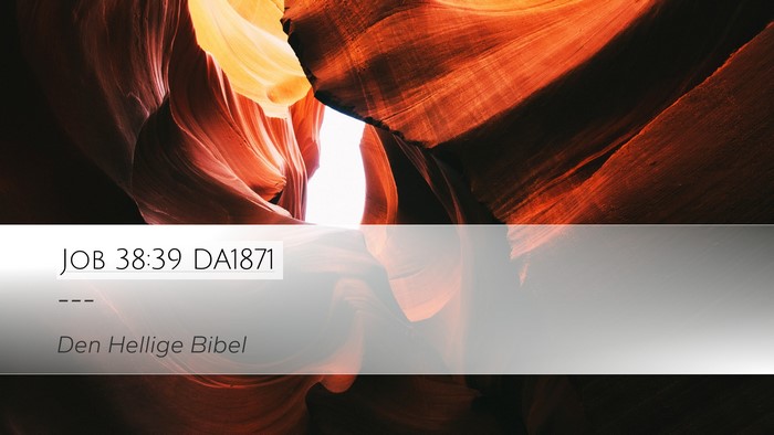 Job 38:39 DA1871 Bible Verse Image