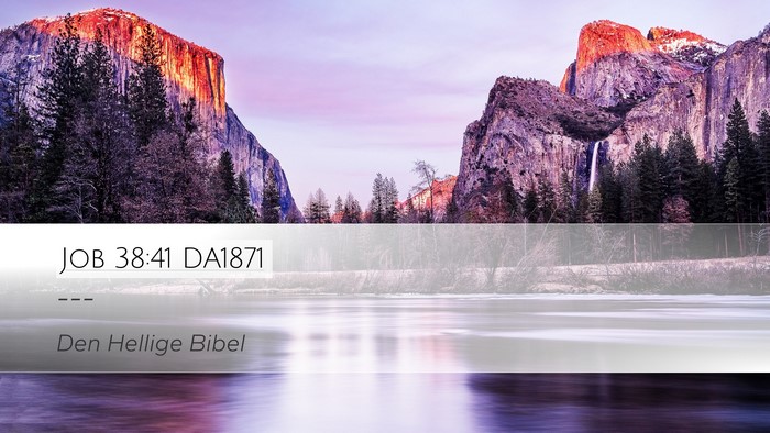 Job 38:41 DA1871 Bible Verse Image