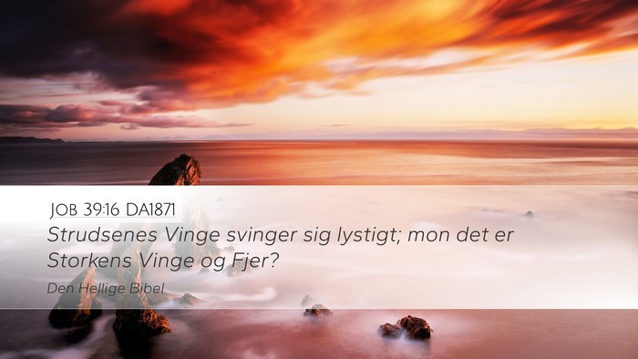 Job 39:16 DA1871 Desktop Wallpaper - Strudsenes Vinge svinger sig lystigt; mon det er - Desktop Bible Verse Wallpaper