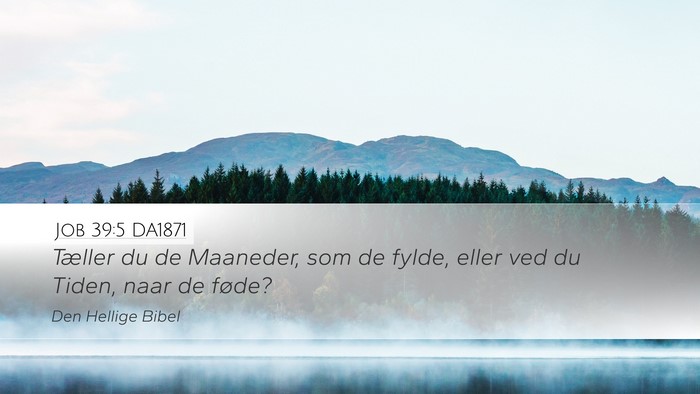 Job 39:5 DA1871 Bible Verse Image