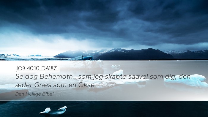 Job 40:10 DA1871 Bible Verse Image