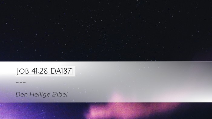Job 41:28 DA1871 Bible Verse Image