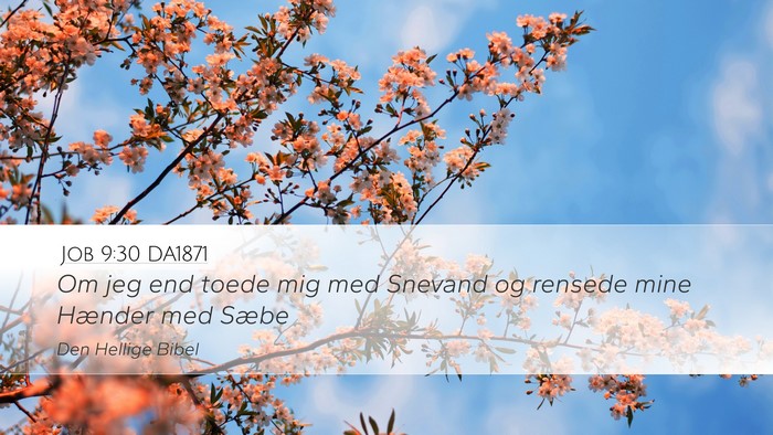 Job 9:30 DA1871 Bible Verse Image