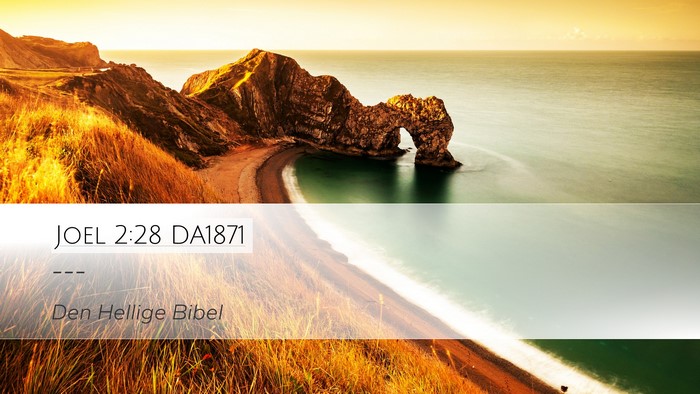 Joel 2:28 DA1871 Bible Verse Image