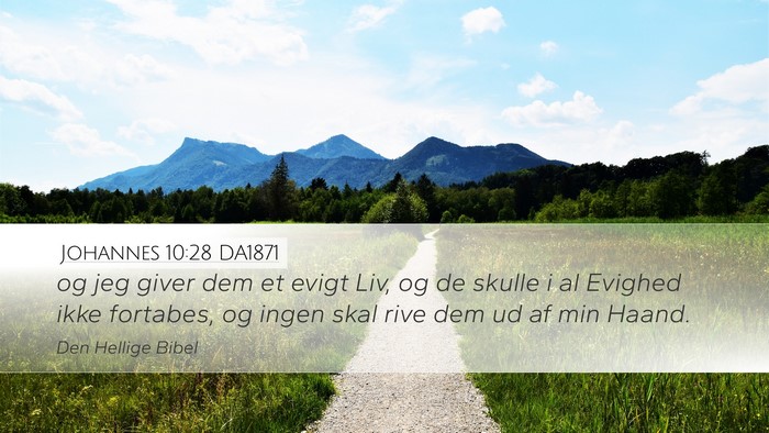 Johannes 10:28 DA1871 Bible Verse Image