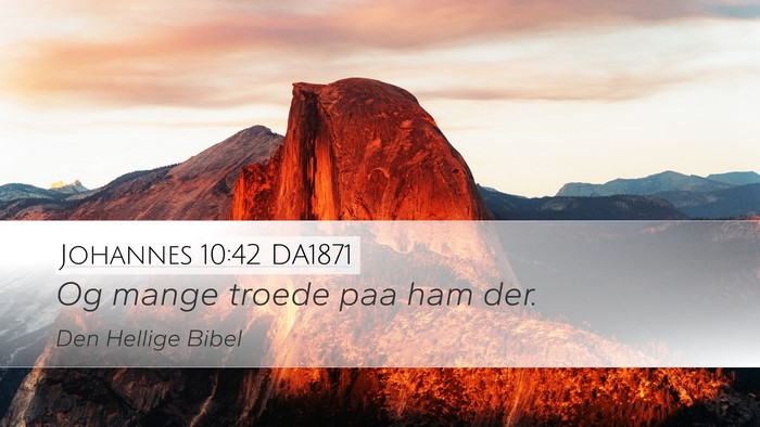 Johannes 10:42 DA1871 Bible Verse Image