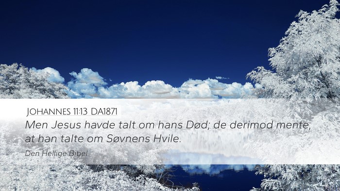 Johannes 11:13 DA1871 Bible Verse Image