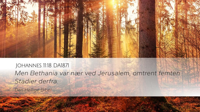 Johannes 11:18 DA1871 Bible Verse Image