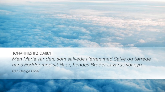 Johannes 11:2 DA1871 Bible Verse Image