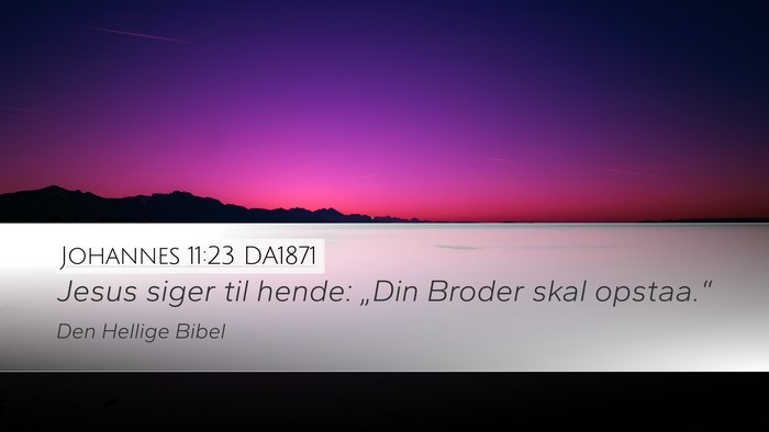 Johannes 11:23 DA1871 Bible Verse Image