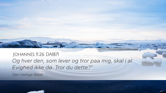 Johannes 11:26 DA1871 Bible Verse Image