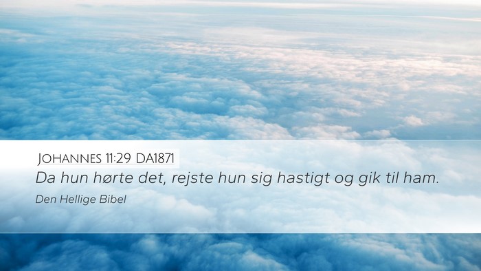 Johannes 11:29 DA1871 Desktop Wallpaper - Da hun hørte det, rejste hun sig hastigt og gik - Desktop Bible Verse Wallpaper