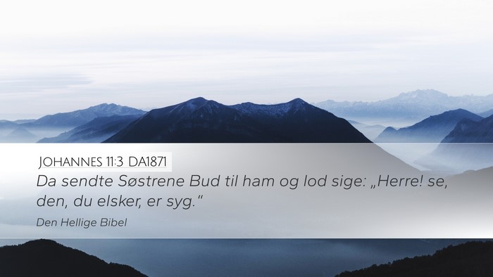 Johannes 11:3 DA1871 Bible Verse Image