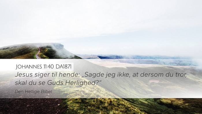 Johannes 11:40 DA1871 Bible Verse Image