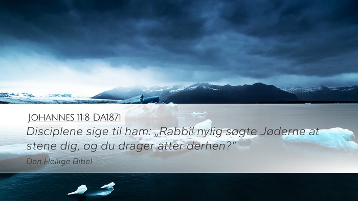 Johannes 11:8 DA1871 Bible Verse Image