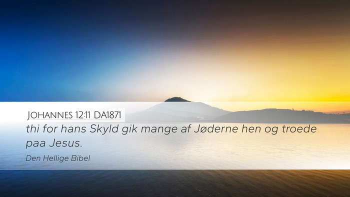 Johannes 12:11 DA1871 Desktop Wallpaper - thi for hans Skyld gik mange af Jøderne hen og - Desktop Bible Verse Wallpaper