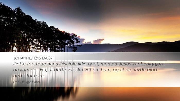 Johannes 12:16 DA1871 Bible Verse Image