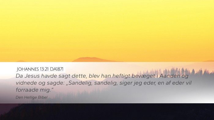 Johannes 13:21 DA1871 Bible Verse Image