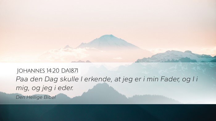Johannes 14:20 DA1871 Bible Verse Image