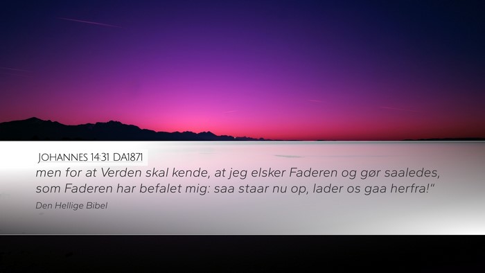 Johannes 14:31 DA1871 Bible Verse Image