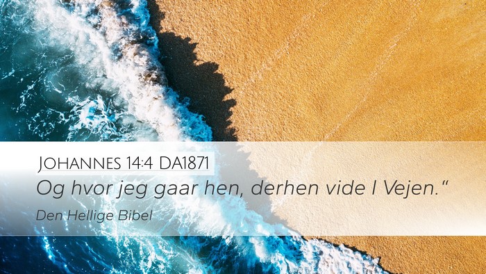 Johannes 14:4 DA1871 Bible Verse Image