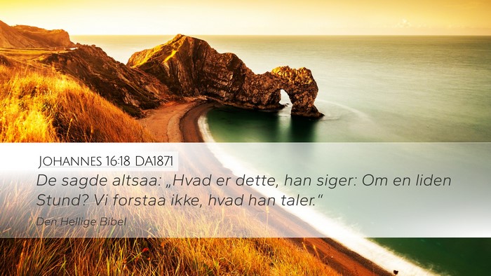 Johannes 16:18 DA1871 Bible Verse Image