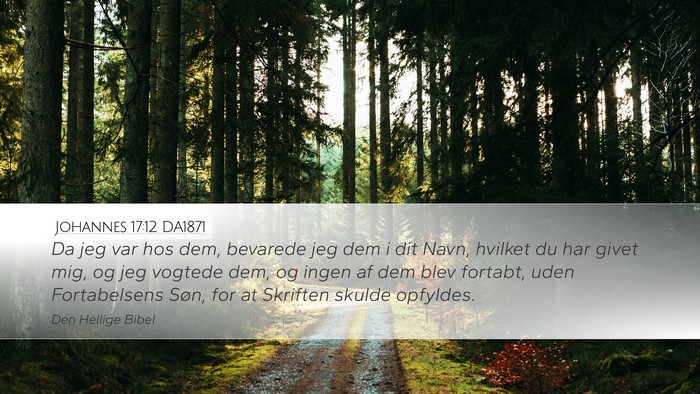 Johannes 17:12 DA1871 Bible Verse Image