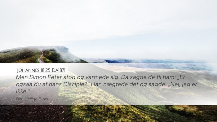 Johannes 18:25 DA1871 Bible Verse Image