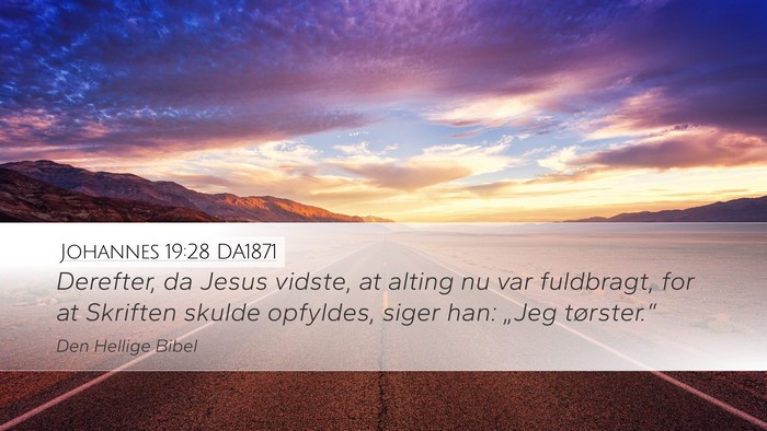 Johannes 19:28 DA1871 Bible Verse Image