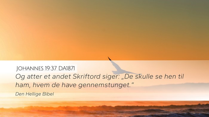 Johannes 19:37 DA1871 Bible Verse Image