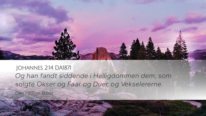 Johannes 2:14 DA1871 Bible Verse Image