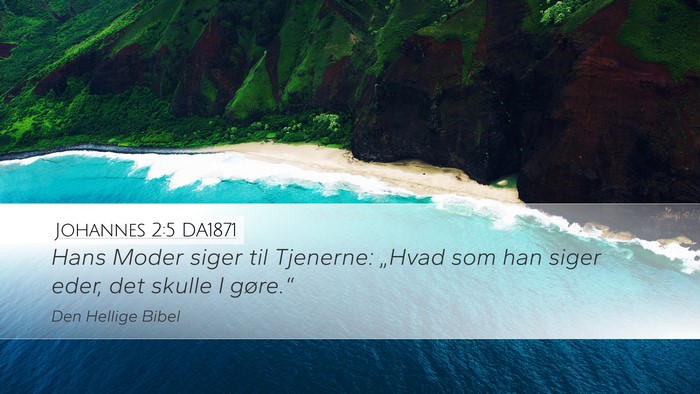 Johannes 2:5 DA1871 Bible Verse Image