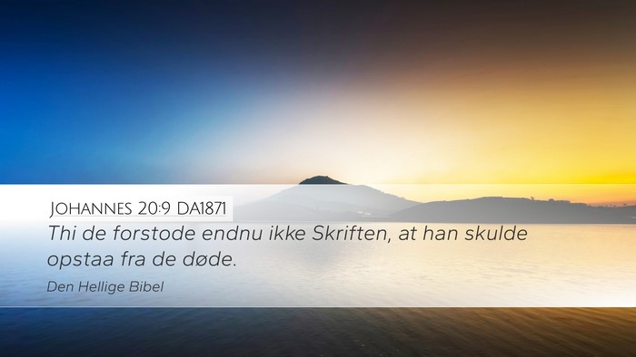 Johannes 20:9 DA1871 Bible Verse Image
