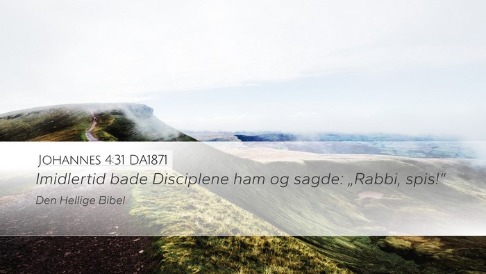Johannes 4:31 DA1871 Bible Verse Image