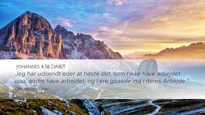 Johannes 4:38 DA1871 Bible Verse Image