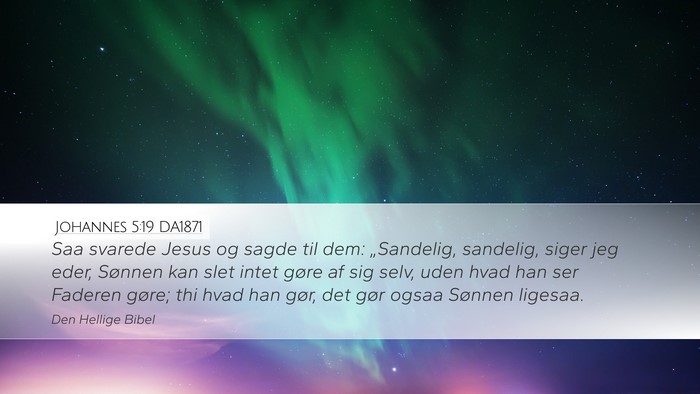 Johannes 5:19 DA1871 Bible Verse Image