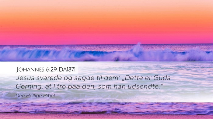 Johannes 6:29 DA1871 Bible Verse Image