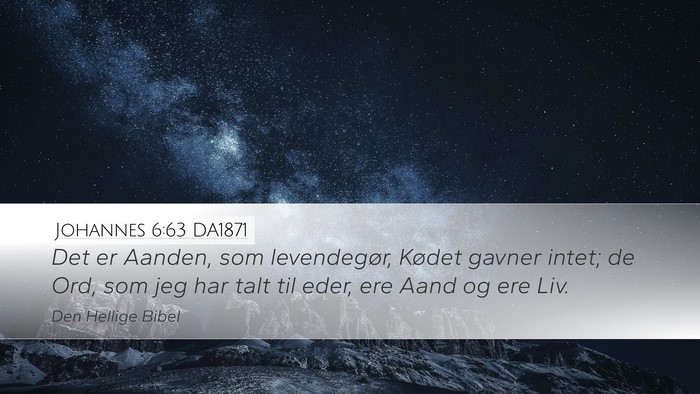 Johannes 6:63 DA1871 Bible Verse Image
