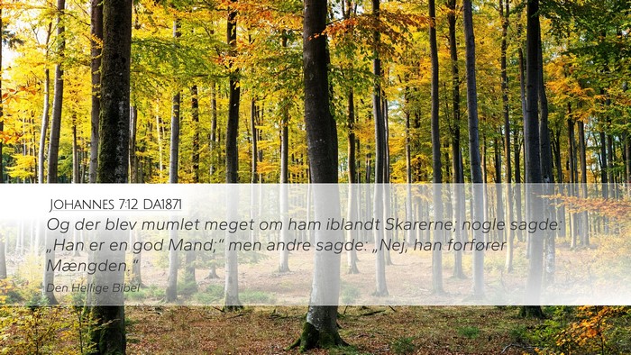 Johannes 7:12 DA1871 Bible Verse Image
