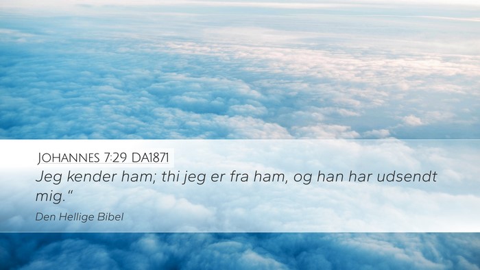Johannes 7:29 DA1871 Bible Verse Image