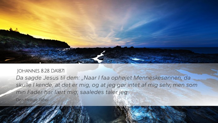 Johannes 8:28 DA1871 Bible Verse Image