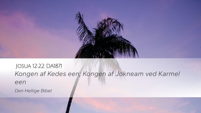 Josua 12:22 DA1871 Bible Verse Image